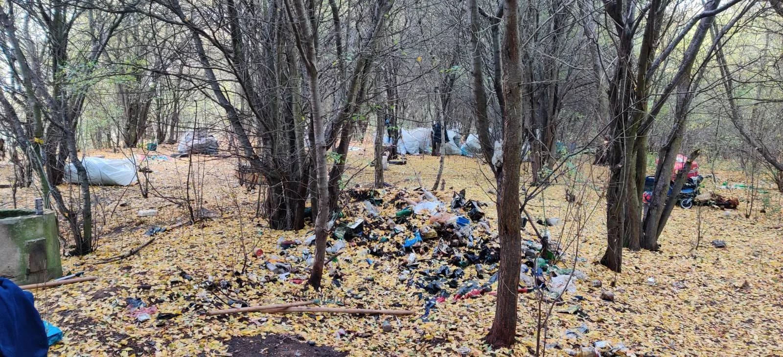 Černá skládka v lese s odpadem a zbytky stanů bezdomovců.
