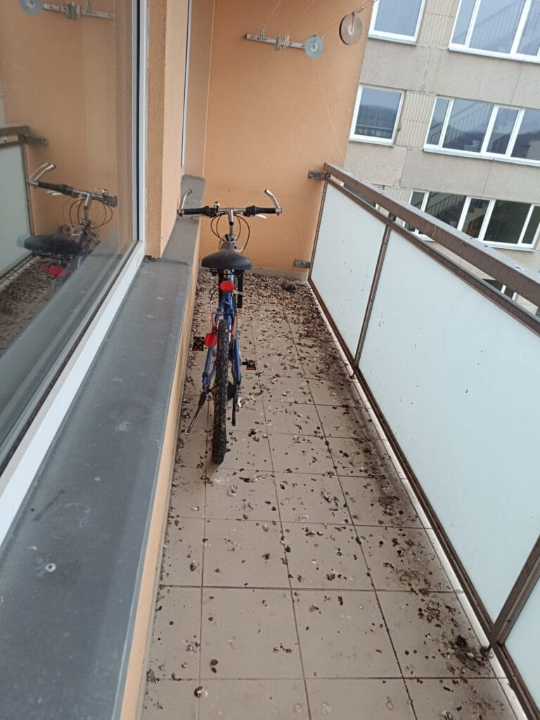 Krmení holubů kazí kvalitu bydlení